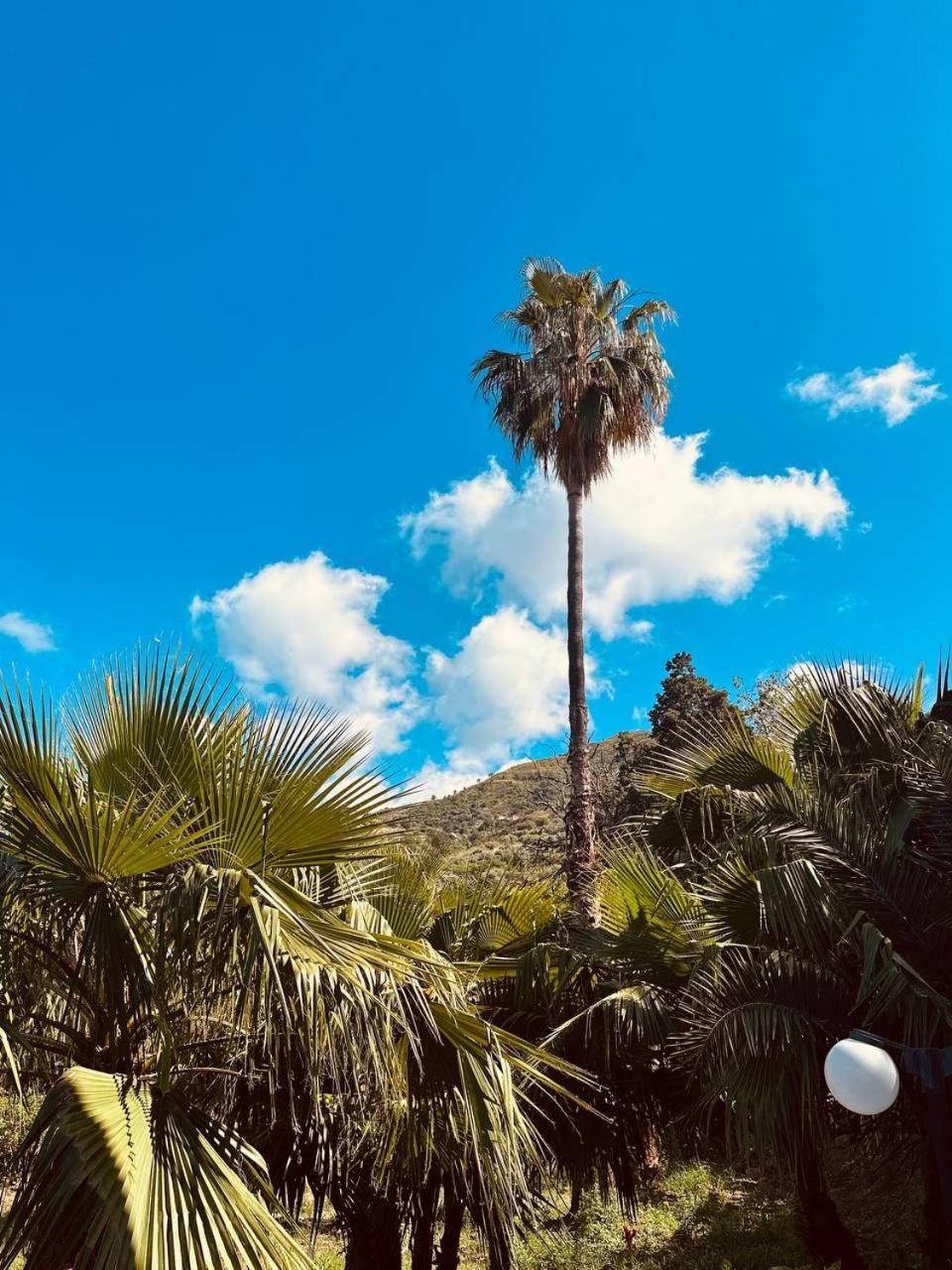 Villa Tiche Cefalù Kültér fotó