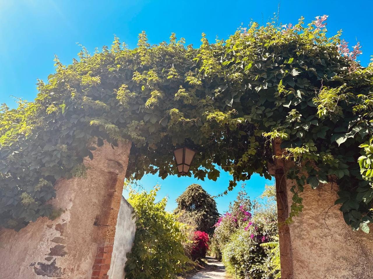 Villa Tiche Cefalù Kültér fotó