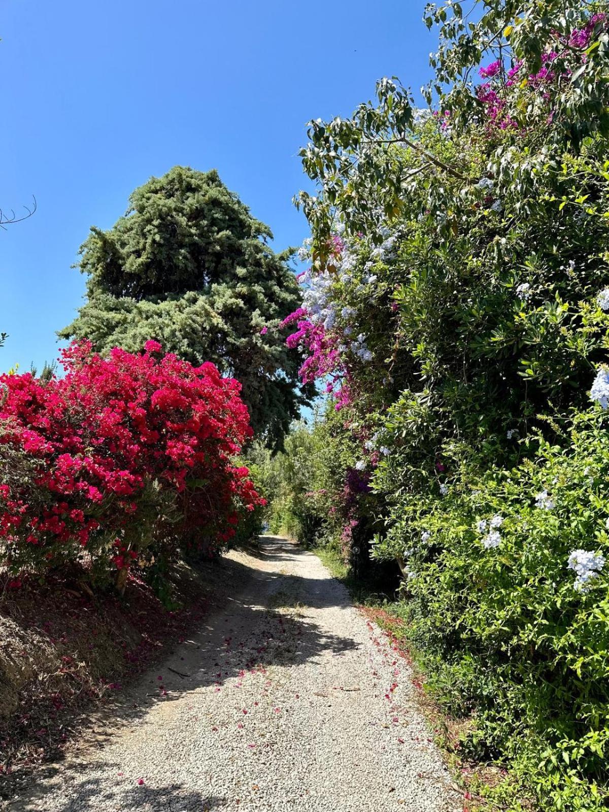 Villa Tiche Cefalù Kültér fotó