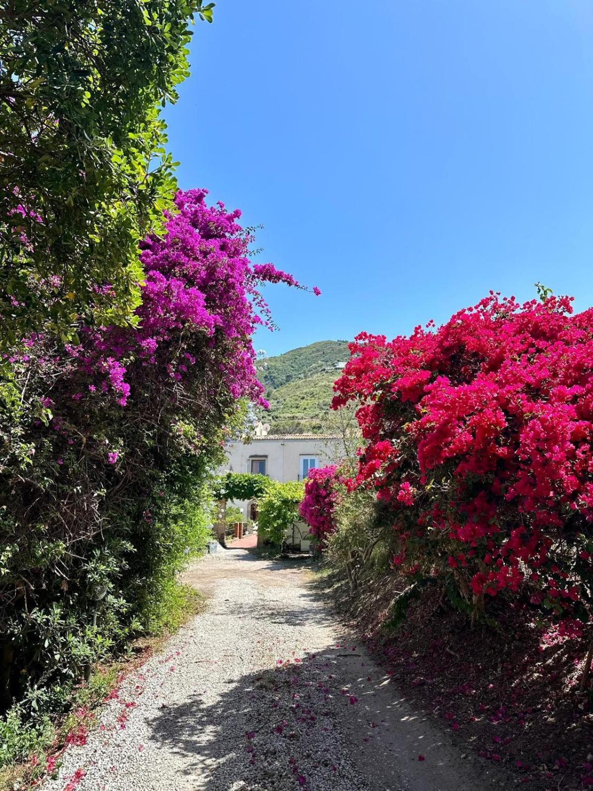 Villa Tiche Cefalù Kültér fotó